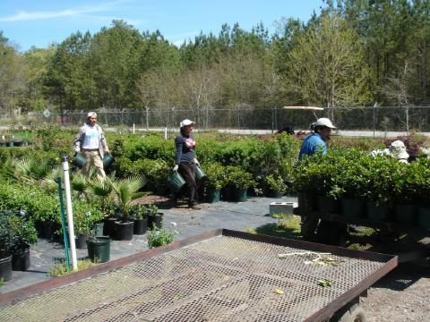 Workers