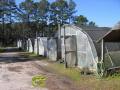 Greenhouses